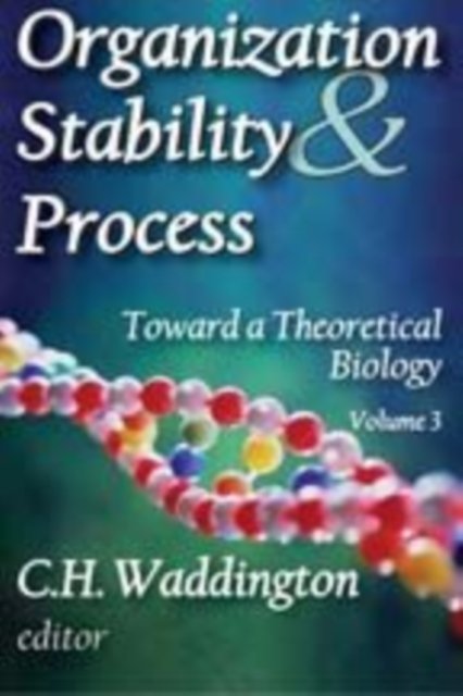 Organization Stability & Process