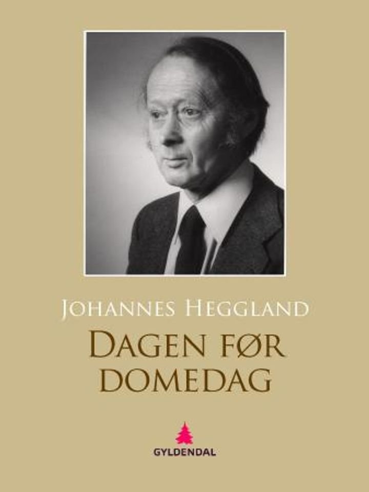 Dagen før domedag - roman