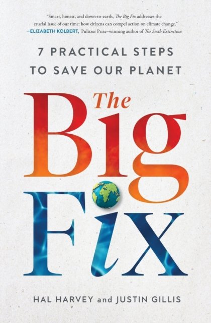 The Big Fix