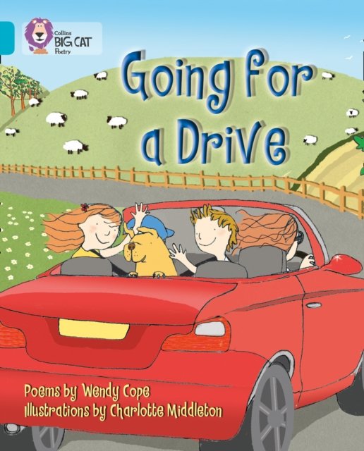 BIG CAT - GOING FOR DRIVE