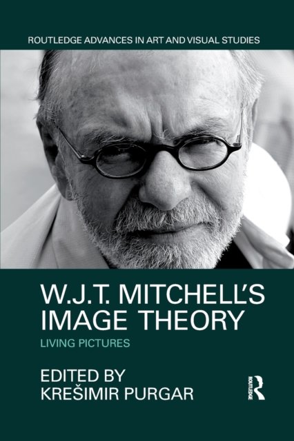 W.J.T. Mitchell''s Image Theory