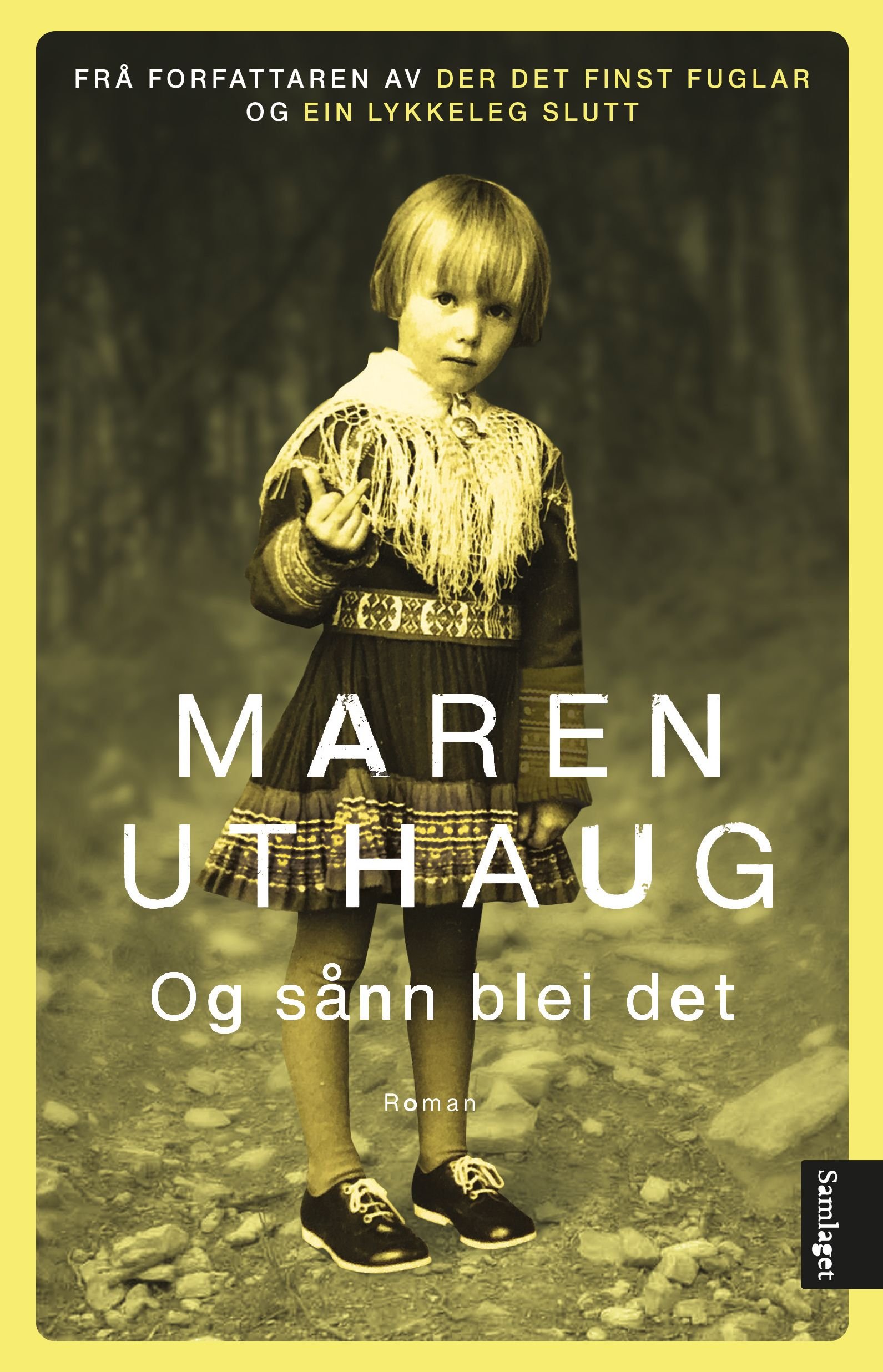 Og sånn blei det - roman