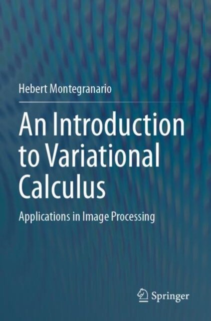 An Introduction to Variational Calculus