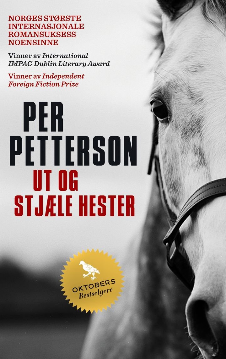 Ut og stjæle hester - roman