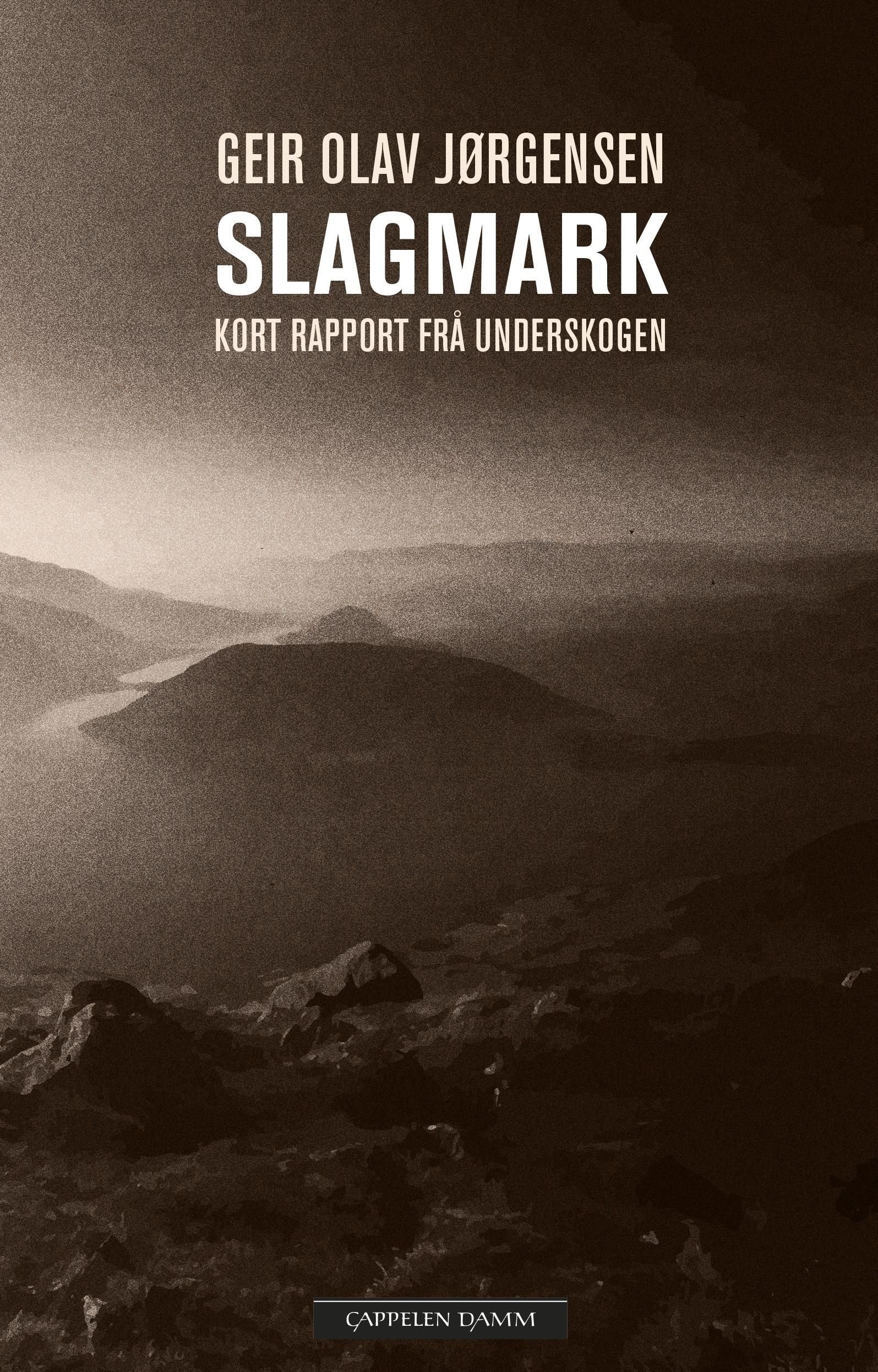 Slagmark - kort rapport frå underskogen