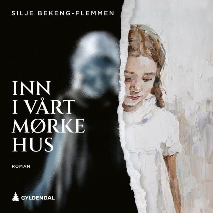 Inn i vårt mørke hus - roman