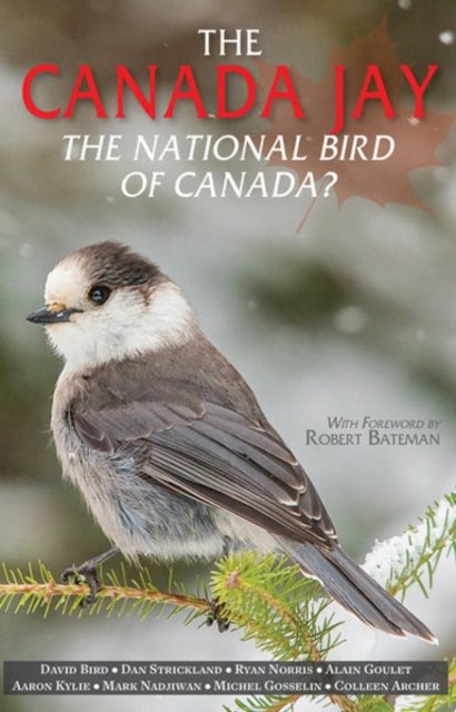 The Canada Jay