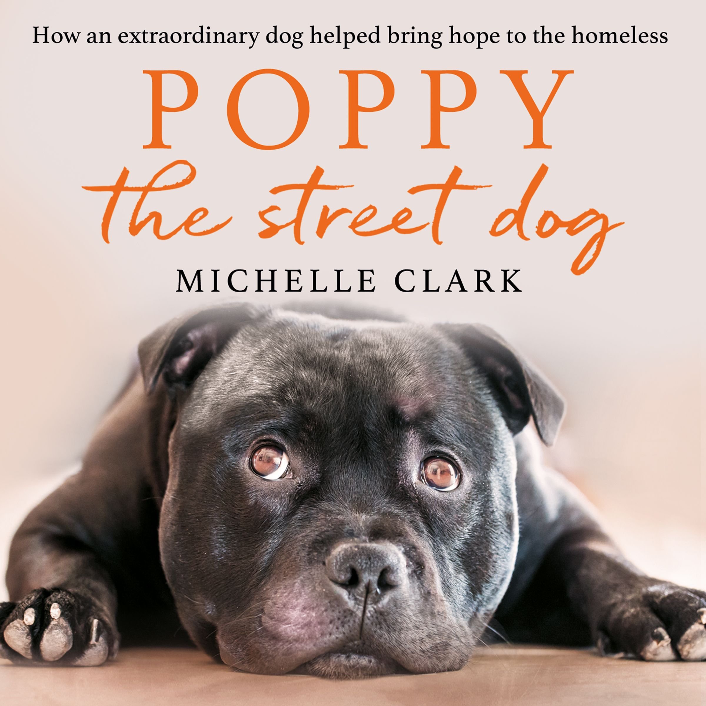 Poppy The Street Dog