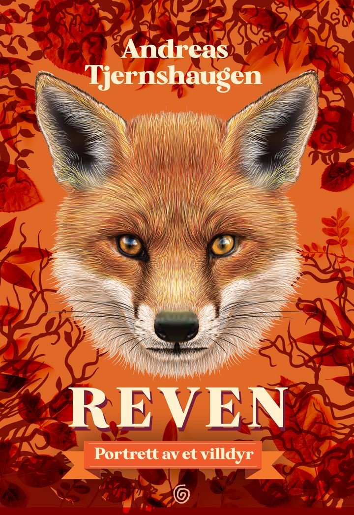 Reven - portrett av et villdyr