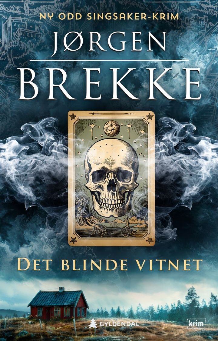 Det blinde vitnet - en Odd Singsaker-krim