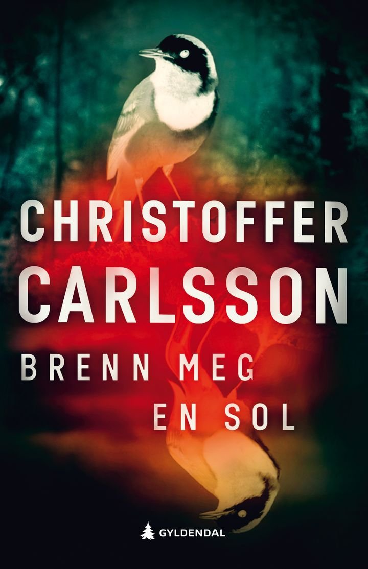 Brenn meg en sol - en roman om en forbrytelse