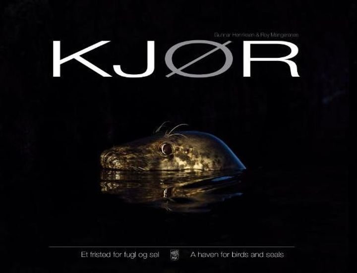 Kjør