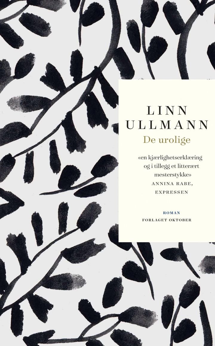 De urolige - roman