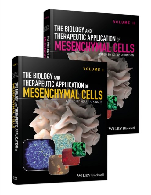 The Biology and Therapeutic Application of Mesenchymal Cells SET