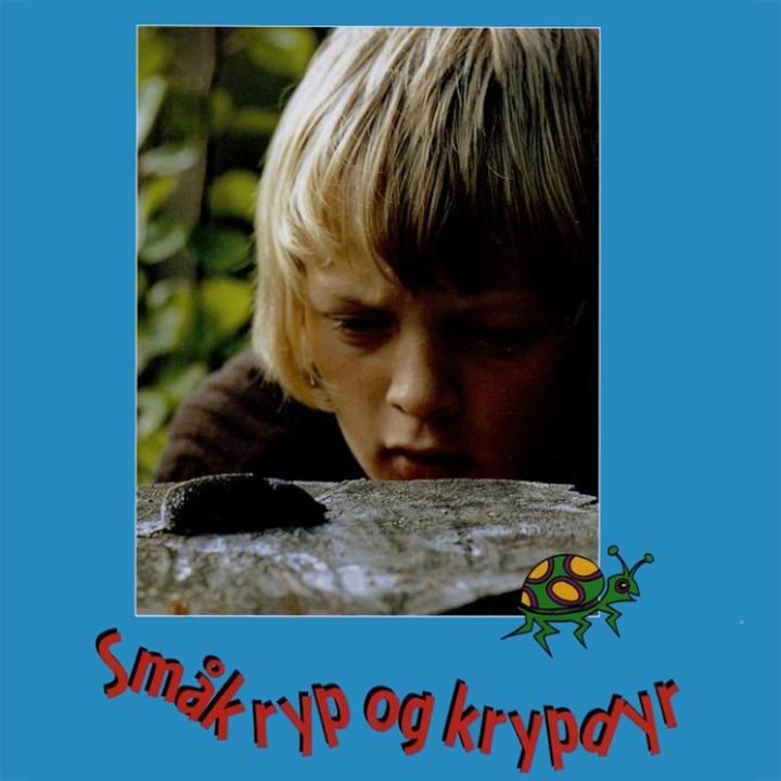 Småkryp og krypdyr