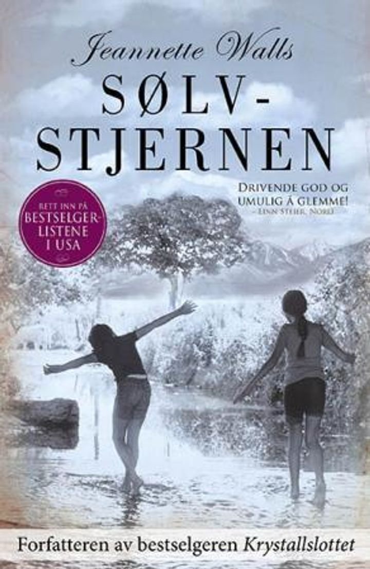 Sølvstjernen - en roman
