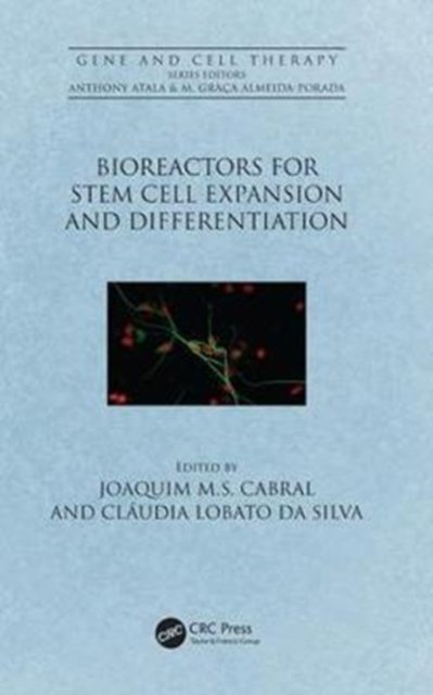 Bioreactors for Stem Cell Expansion and Differentiation