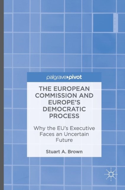 The European Commission and Europe's Democratic Process