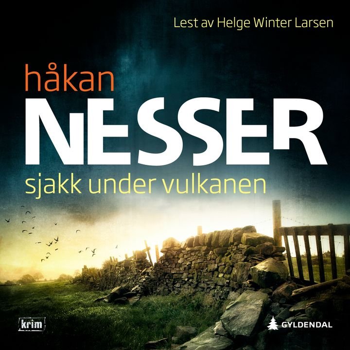 Sjakk under vulkanen - roman