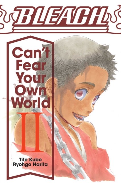 Bleach: Can''t Fear Your Own World, Vol. 2