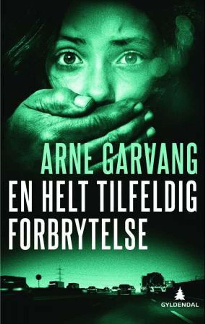 En helt tilfeldig forbrytelse - kriminalroman