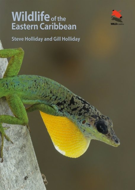 Wildlife of the Eastern Caribbean