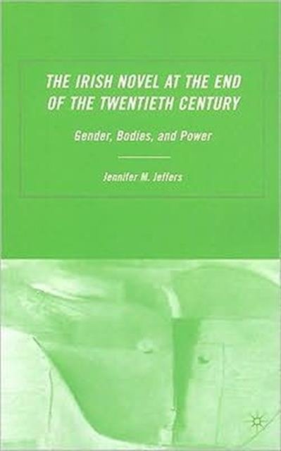 The Irish Novel at the End of the Twentieth Century