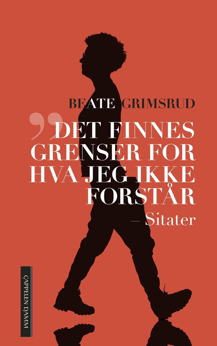 Det finnes grenser for hva jeg ikke forstår - sitater