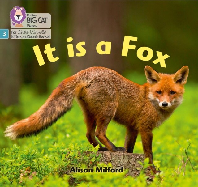 BIG CAT LW L&S _IT IS A FOX
