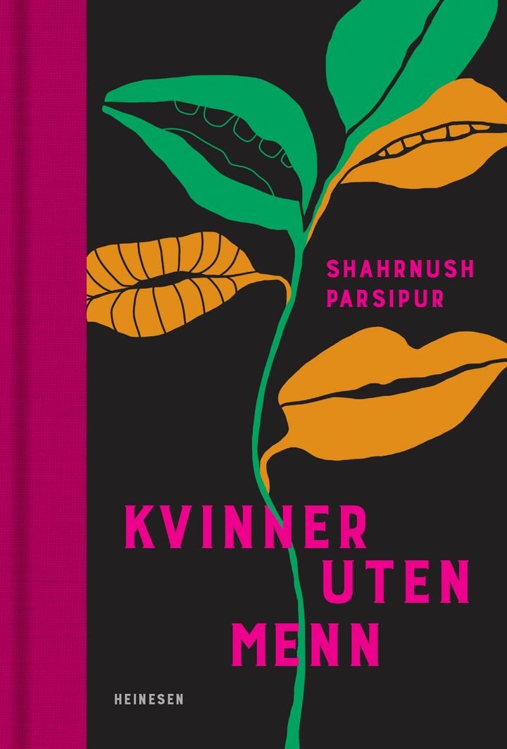 Kvinner uten menn - roman