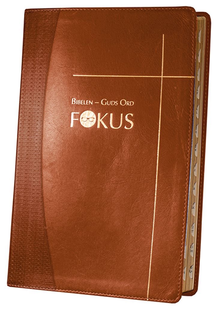 Bibelen - Guds ord fokus - studiebibel