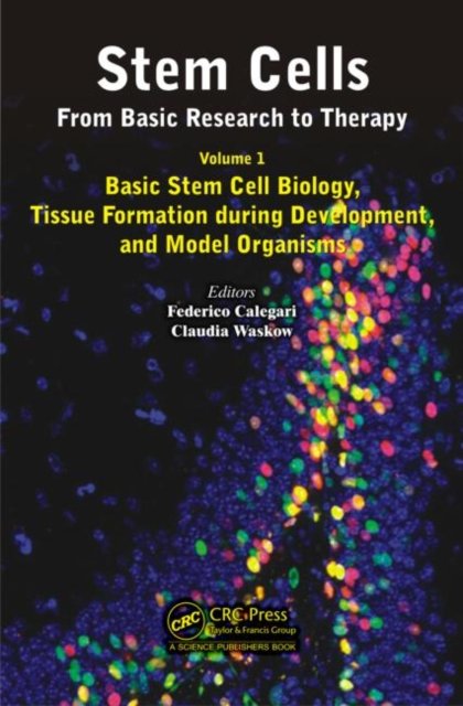 Stem Cells