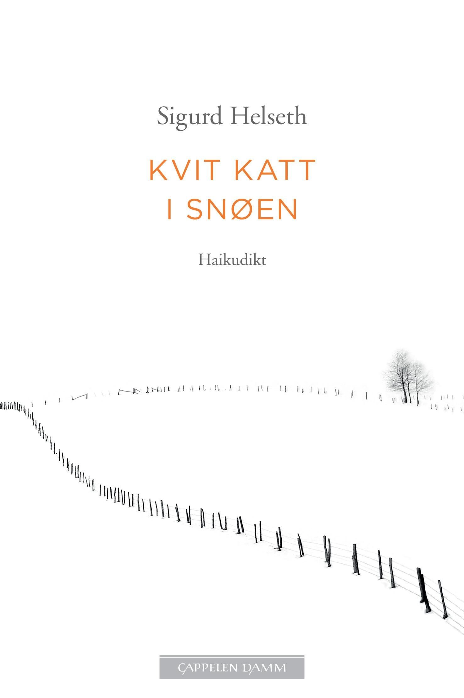 Kvit katt i snøen - haikudikt