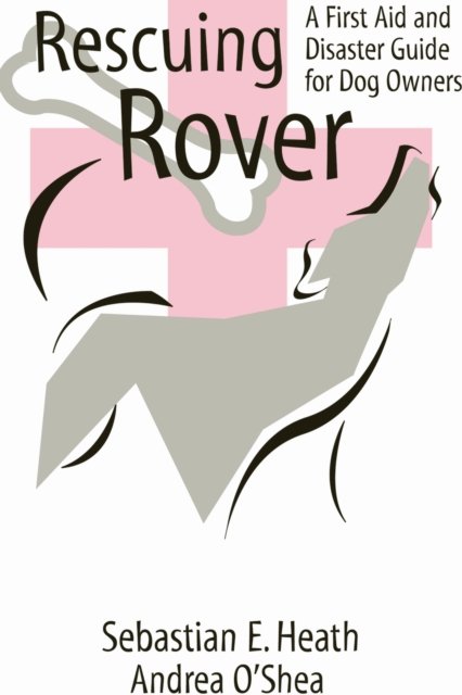 Rescuing Rover