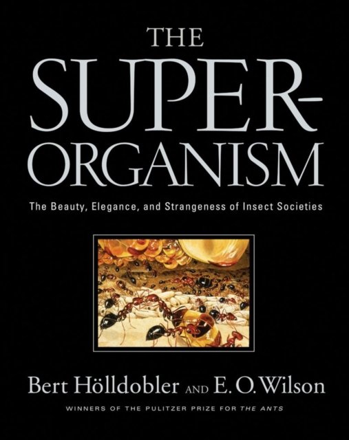 The Superorganism – The Beauty, Elegance and Strangeness of Insect Societies