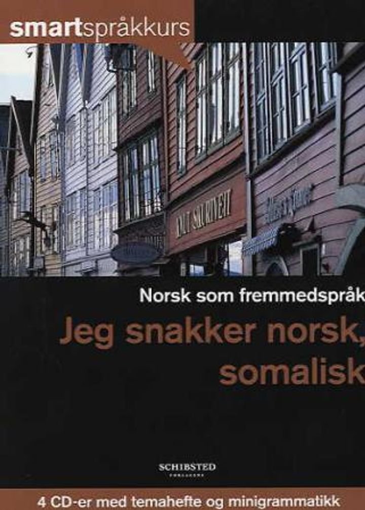 Norsk som fremmedspråk