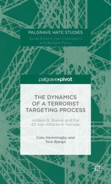 The Dynamics of a Terrorist Targeting Process
