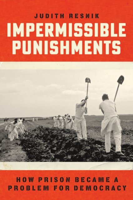 Impermissible Punishments – How Prison Became a Problem for Democracy