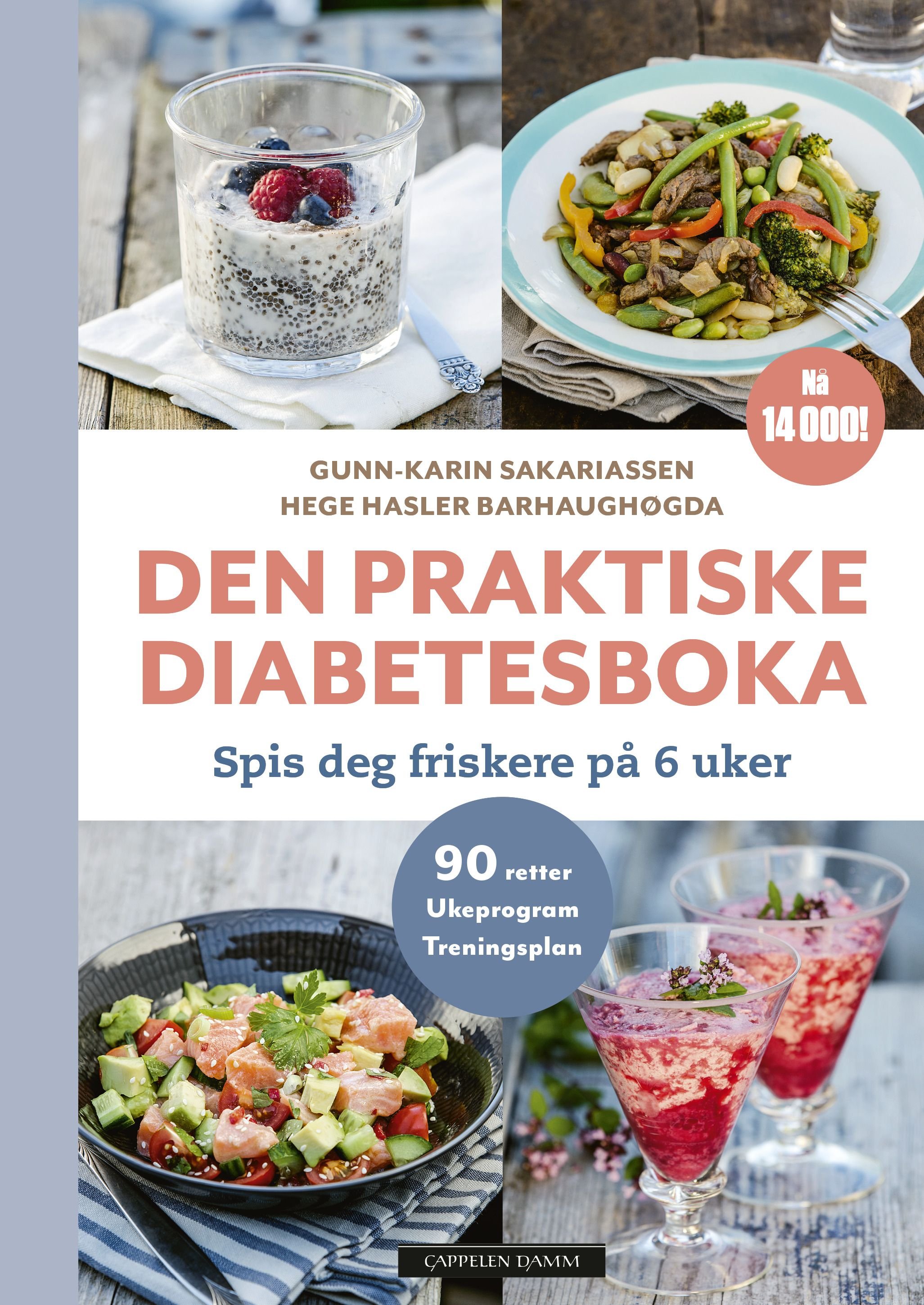 Den praktiske diabetesboka av Hege Hasler   Sakariassen Gunn Barhaughøgda