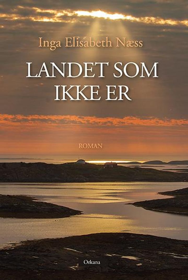Landet som ikke er - roman