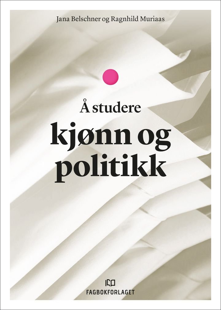 Å studere kjønn og politikk