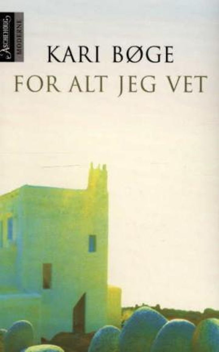For alt jeg vet - roman