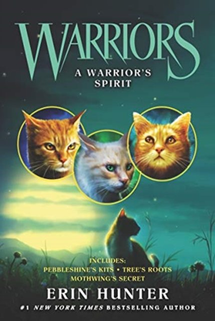 A Warrior''s Spirit