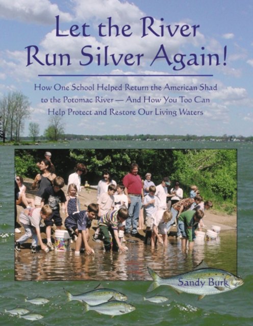 Let the River Run Silver Again!
