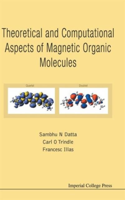 THEREOTICAL AND COMPUTATIONAL ASPECTS OF MAGNETIC ORGANIC ..