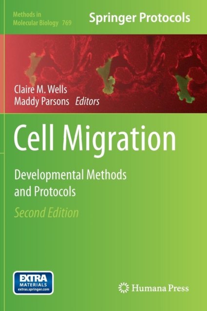 Cell Migration