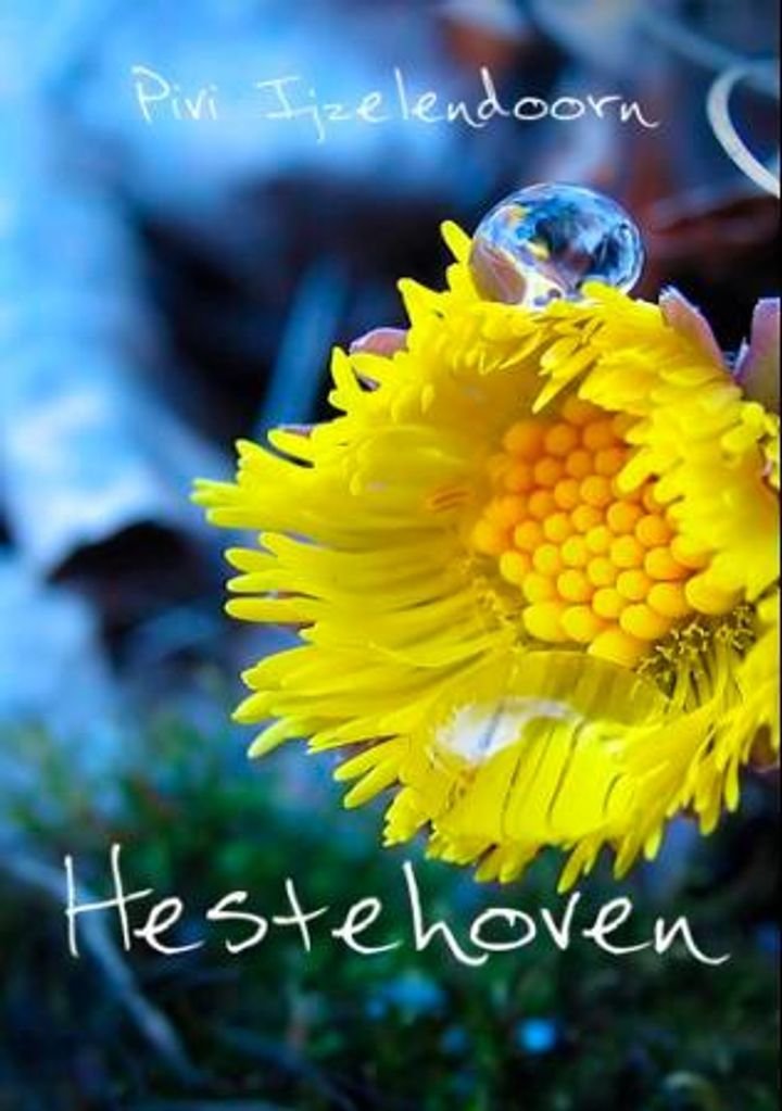 Hestehoven - til minne om Mormassan