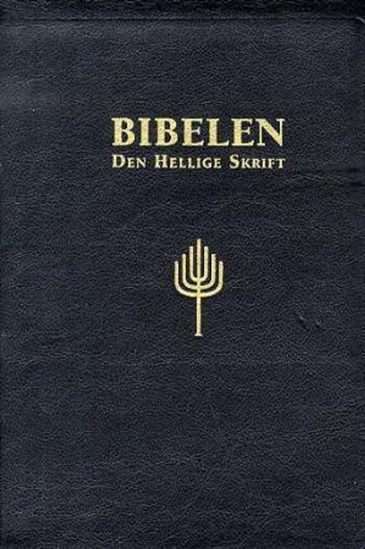 Bibelen - Den hellige skrift : Det gamle og Det nye testamentes kanoniske bøker