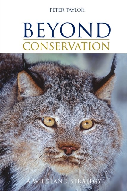 Beyond Conservation