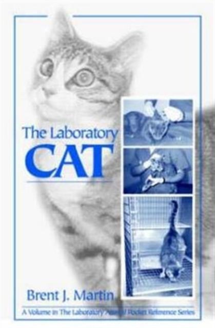 The Laboratory Cat